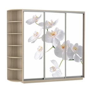 Шкаф 3-створчатый Экспресс со стеллажом, 2100х600х2200, Орхидея белая/шимо светлый в Салавате