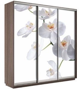 Шкаф 3-х дверный Экспресс 2100х600х2200, Орхидея белая/шимо темный в Салавате