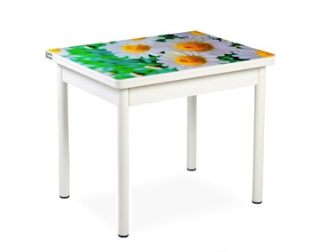 Кухонный пристенный стол СПА-01 СТФ, белый/фотопечать ромашки/опоры прямые белые в Стерлитамаке