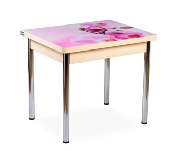 Кухонный пристенный стол СПА-01 СТФ, молочный дуб/фотопечать орхидея/опоры прямые хром в Уфе