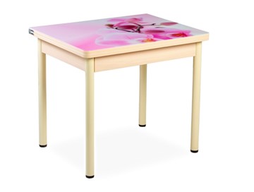 Кухонный пристенный стол СПА-02 СТФ, молочный дуб/фотопечать орхидея/опоры бежевый в Салавате