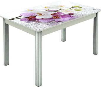 Кухонный раскладной стол Гамбург исп.2 ноги метал. крашеные №23, Фотопечать (Цветы №44) в Стерлитамаке