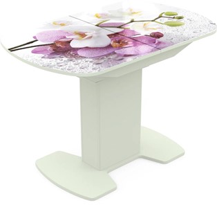 Кухонный раскладной стол Корсика исп. 1 Фотопечать (Цветы №44) 1100(1415)*700 в Уфе