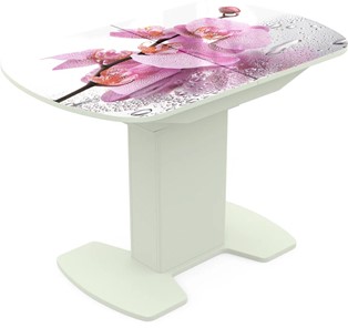 Кухонный стол раскладной Корсика исп. 2 Фотопечать (Цветы №55) 1200(1515)*800 в Стерлитамаке