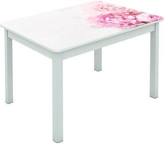 Обеденный стол Мюнхен исп. 2 ноги метал. крашеные №23 Фотопечать (Цветы №49) в Стерлитамаке
