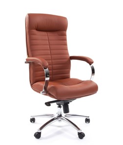 Компьютерное кресло CHAIRMAN 480 Экокожа Terra 111 (коричневая) в Салавате