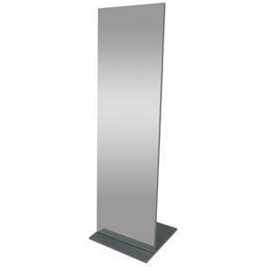 Зеркало напольное в полный рост Стелла (графит темный) 163,5 см x 50 см в Стерлитамаке