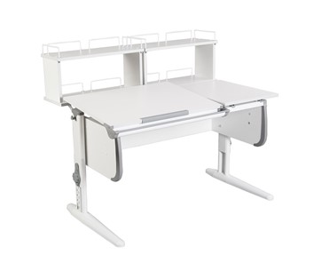 Детский стол-трансформер 1/75-40 (СУТ.25) + Polka_zz 1/600 (2 шт.)  белый/белый/Серый в Стерлитамаке