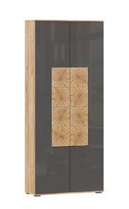 Шкаф двухстворчатый Фиджи с декоративными накладками 659.310, Дуб Золотой/Антрацит в Уфе