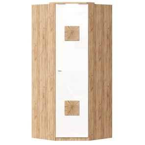 Шкаф угловой 45 с декоративной накладкой Фиджи, 659.248, белый в Уфе