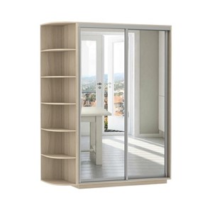 Шкаф 2-дверный Экспресс (2 зеркала), со стеллажом 1900x600x2200, шимо светлый в Стерлитамаке