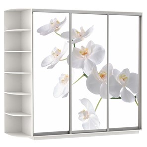Шкаф Экспресс со стеллажом, 2400х600х2200, Орхидея белая/белый снег в Стерлитамаке