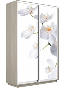 Шкаф 2-х дверный Экспресс 1200x450x2400, Орхидея белая/шимо светлый в Стерлитамаке