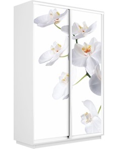 Шкаф 2-х дверный Экспресс 1200x600x2200, Орхидея белая/белый снег в Стерлитамаке