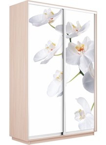 Шкаф Экспресс 1200x600x2200, Орхидея белая/дуб молочный в Стерлитамаке - предосмотр