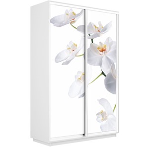 Шкаф двухдверный Экспресс 1600x450x2400, Орхидея белая/белый снег в Уфе