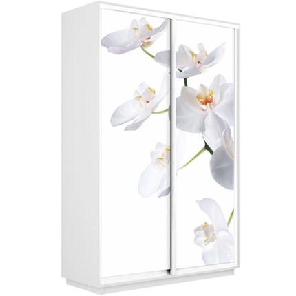Шкаф двухдверный Экспресс 1600x450x2400, Орхидея белая/белый снег в Стерлитамаке - изображение