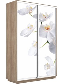 Шкаф-купе Экспресс 1600x450x2400, Орхидея белая/дуб сонома в Уфе