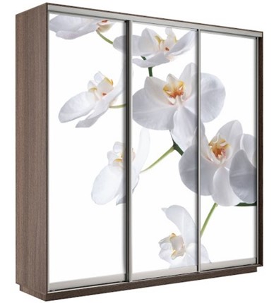 Шкаф 3-х створчатый Экспресс 1800х600х2200, Орхидея бела/шимо темный в Уфе - изображение