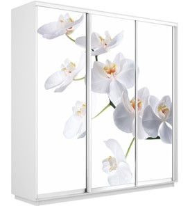 Шкаф 3-створчатый Экспресс 2100х450х2400, Орхидея белая/белый снег в Стерлитамаке