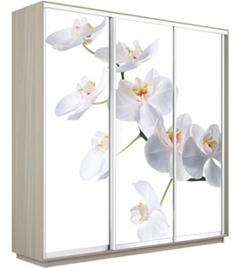 Шкаф 3-х створчатый Экспресс 2100х600х2200, Орхидея белая/шимо светлый в Уфе