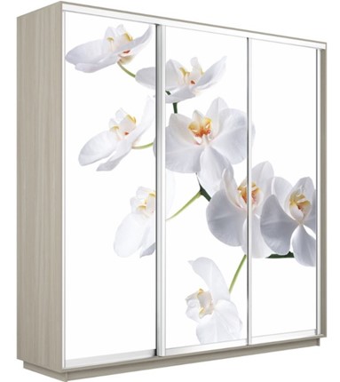 Шкаф 3-х дверный Экспресс 2400х600х2400, Орхидея белая/шимо светлый в Уфе - изображение