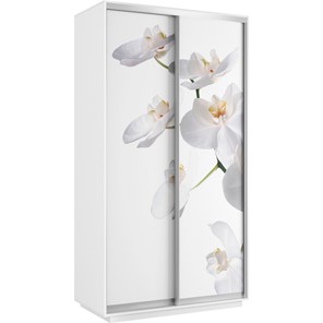 Шкаф Хит 1200x600x2200, белая орхидея, белый снег в Уфе