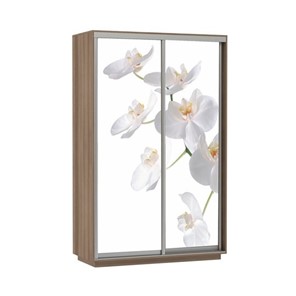 Шкаф 2-дверный Экспресс 1200x600x2400, Орхидея белая/шимо темный в Стерлитамаке