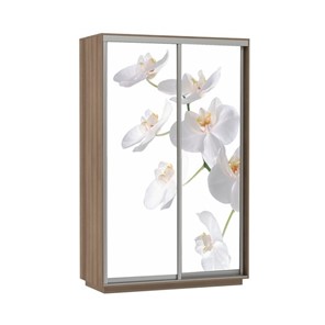 Шкаф 2-створчатый Экспресс 1600x600x2200, Орхидея белая/шимо темный в Стерлитамаке