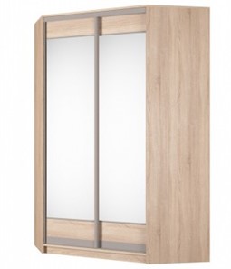 Угловой шкаф Аларти (YA-230х1400(602) (4) Вар. 3; двери D2+D2), с зеркалом в Стерлитамаке