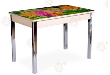 Кухонный стол раздвижной Айсберг-02 СТФ, Дуб ЛДСП/полевые цветы/ноги хром квадратные в Стерлитамаке
