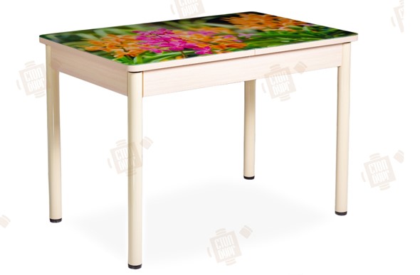 Обеденный раздвижной стол Айсберг-02 СТФ, Дуб ЛДСП/полевые цветы/ноги крашеные в Стерлитамаке - изображение