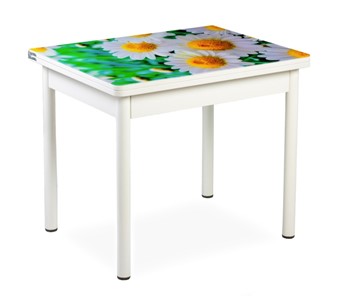 Кухонный пристенный стол СПА-07 СТФ, белый/фотопечать ромашки/опоры прямые белый в Салавате