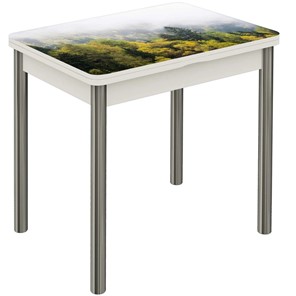 Раздвижной стол Бари дерево №8 (Exclusive h175/белый) в Уфе