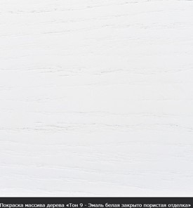 Раздвижной стол Фабрицио-1 Круг 900, (Тон 8 - Венге натуральный) Морилка/Эмаль в Стерлитамаке - предосмотр 20