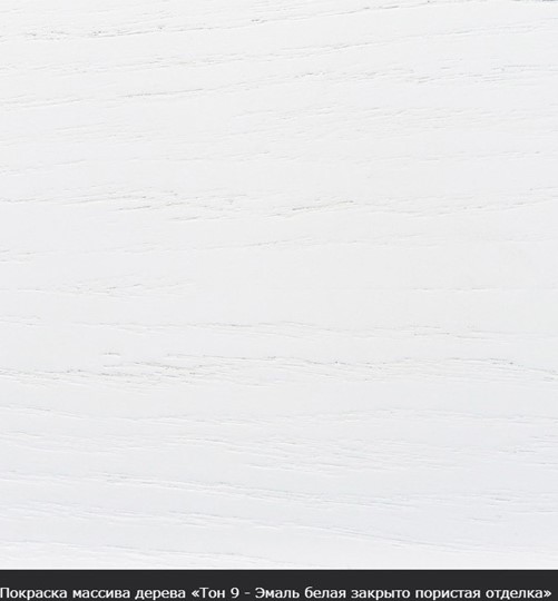 Стол раздвижной Фабрицио-2 исп. Мыло 1200, Тон 9 (Морилка/Эмаль) в Стерлитамаке - изображение 16