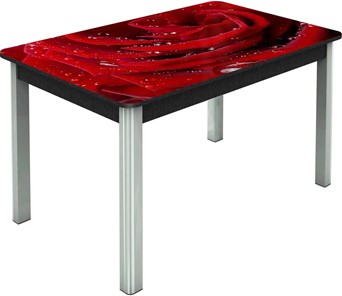 Кухонный стол раскладной Гамбург исп. Мини, ноги метал. крашеные №23, Фотопечать (Цветы №39) в Уфе