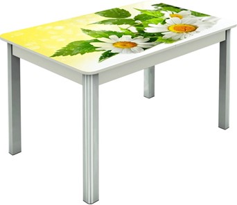Кухонный раздвижной стол Гамбург исп.2 ноги метал. крашеные №23, Фотопечать (Цветы №3) в Уфе