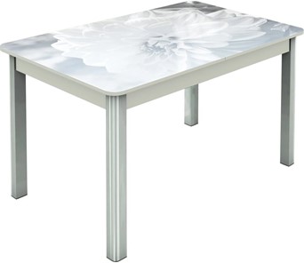 Кухонный раздвижной стол Гамбург исп.2 ноги метал. крашеные №23, Фотопечать (Цветы №48) в Стерлитамаке - предосмотр