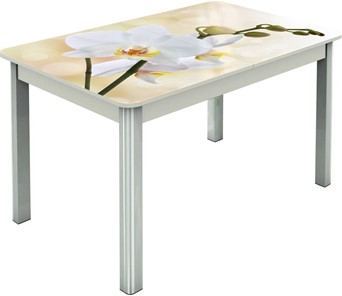 Обеденный раздвижной стол Гамбург исп.2 ноги метал. крашеные №23, Фотопечать (Цветы №5) в Уфе