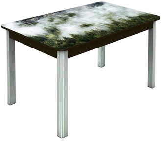 Раздвижной стол Гамбург Мини, ноги метал. крашеные №23 (Exclusive h010/венге) в Стерлитамаке