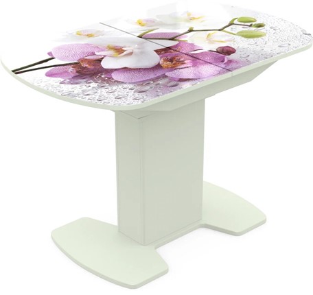 Кухонный раскладной стол Корсика исп. 1 Фотопечать (Цветы №44) 1100(1415)*700 в Стерлитамаке - изображение