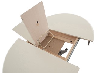 Кухонный стол раздвижной Леонардо-1 исп. Круг 1000, тон 10 (Морилка/Эмаль) в Салавате - предосмотр 6