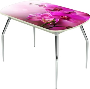 Кухонный раскладной стол Ривьера исп.1 ноги метал. крашеные №24 Фотопечать (Цветы №16) в Уфе