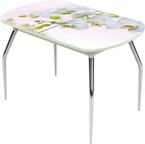 Кухонный раскладной стол Ривьера исп.1 ноги метал. крашеные №24 Фотопечать (Цветы №7) в Стерлитамаке