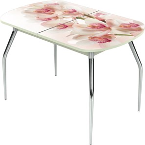 Кухонный стол раскладной Ривьера исп.1 ноги метал. крашеные №24 Фотопечать (Цветы №8) в Стерлитамаке