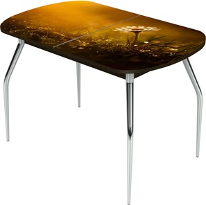 Кухонный раздвижной стол Ривьера исп.2 ноги  хром. №5 Фотопечать (Цветы №43) в Стерлитамаке