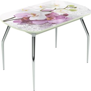 Кухонный раскладной стол Ривьера мини, метал. крашенные №24 Фотопечать (Цветы №44) в Стерлитамаке