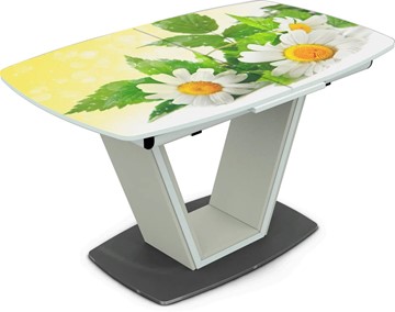 Кухонный стол раскладной Севилья Фотопечать (Цветы №3) в Стерлитамаке