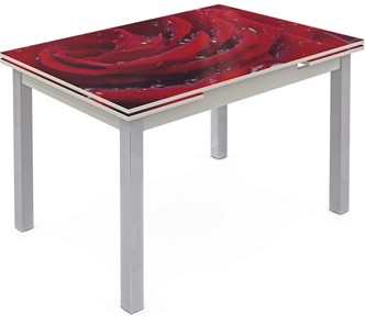 Кухонный раздвижной стол Шанхай исп. 2, ноги метал. крашеные №21 Фотопечать (Цветы №39) в Стерлитамаке